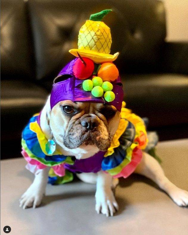 Screenshot 2023-01-24 at 22-27-35 Stewie Conner Newman (@thegayfrenchie) &bull; Instagram photos and videos